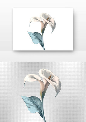 ŵ