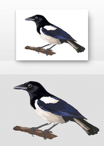 ϲȵվ֦