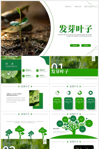 绿色植物发芽植物生长敬畏生命ppt pptx