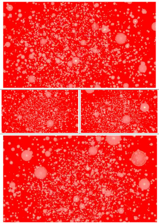 大红色块浪漫背景可循环