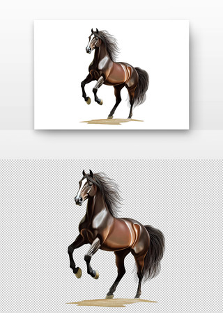 马在沙地上奔跑 马在沙地上奔跑