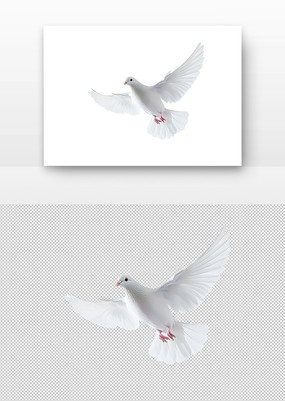 ɫĸ