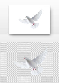 ɫĸ