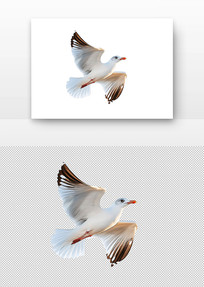 չĺŸ