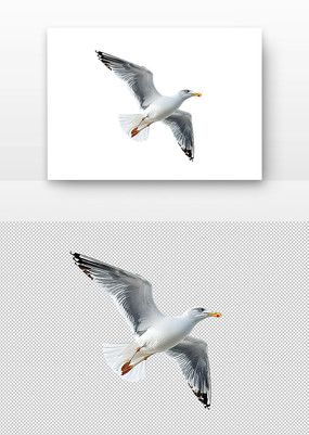 չĺŸ