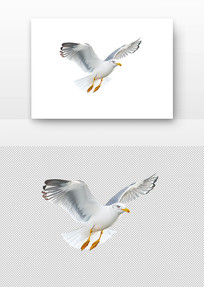 չĺŸ