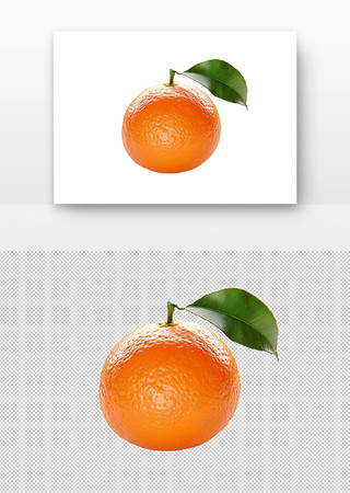 橘子