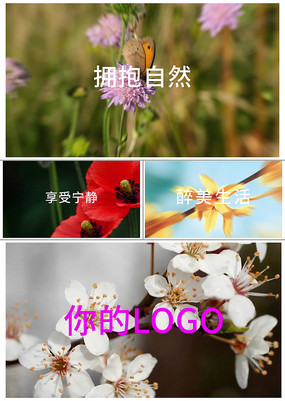 ͼſƬβLOGOչʾAEģ