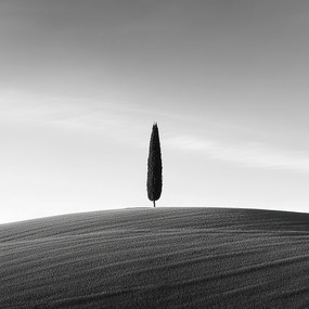 ݵصĺڰ׷羰
