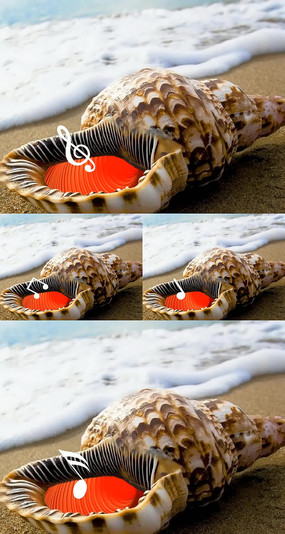 ݵƵز