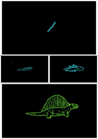 生物进化过程模拟动画