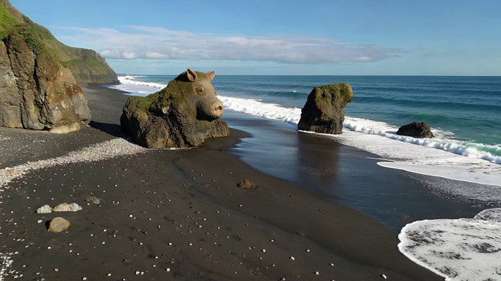 海滩上猪头造型岩石景观