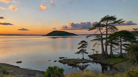 ����������Ȼ���