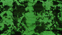 ɫ̬ز