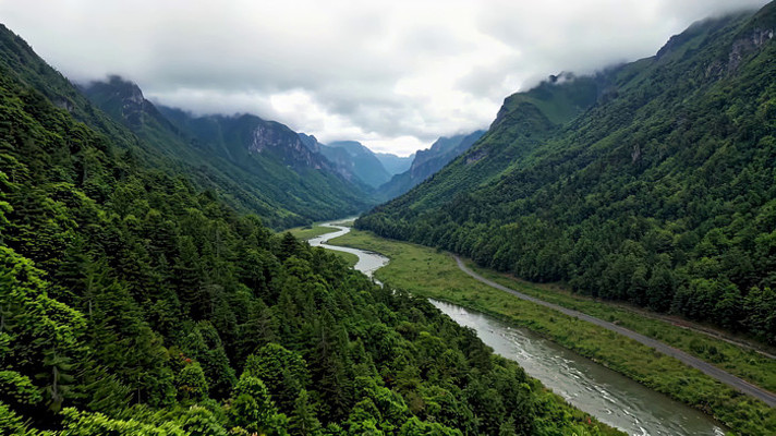 山谷河流森林自然风光 山谷河流森林自然风光