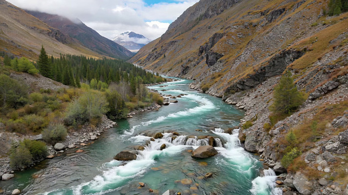 ɽ�ȼ����ɭ����Ȼ���