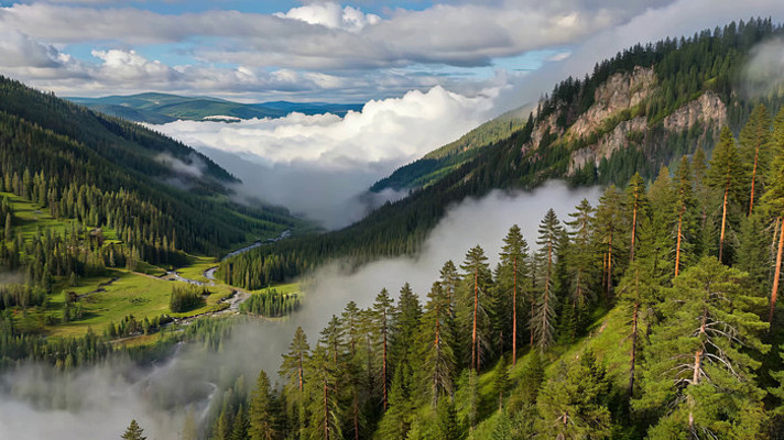 山林云海自然风光全景 山林云海自然风光全景