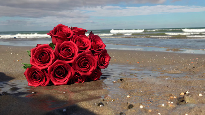 沙滩上的红玫瑰花束 沙滩上的红玫瑰花束