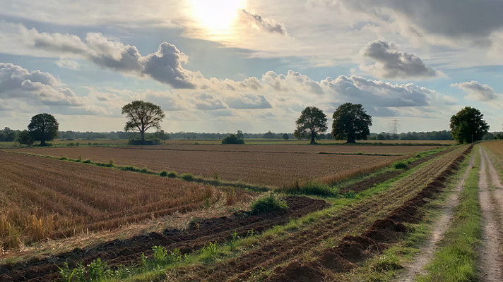 田野农田自然风光 田野农田自然风光