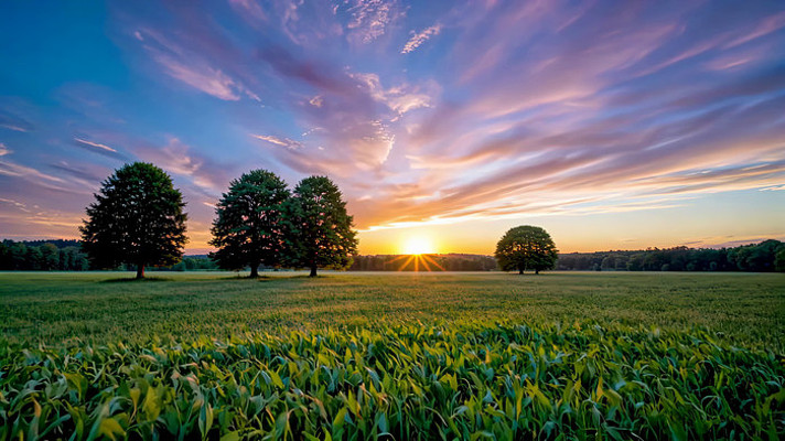田野夕阳自然风光 田野夕阳自然风光
