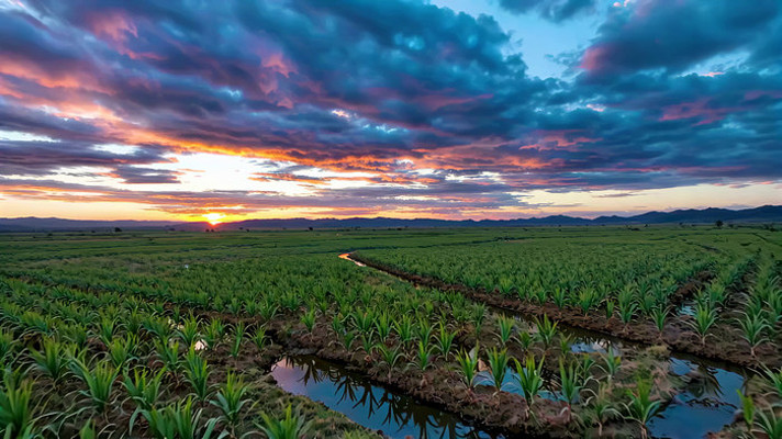田野夕阳自然风光全景 田野夕阳自然风光全景
