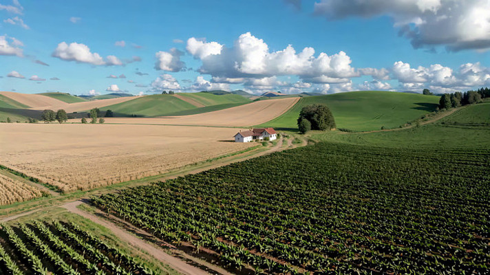 田园农田航拍全景 田园农田航拍全景