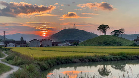 嵾Ϧ