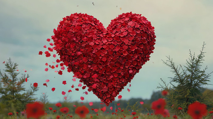 心形花瓣空中漂浮 心形花瓣空中漂浮