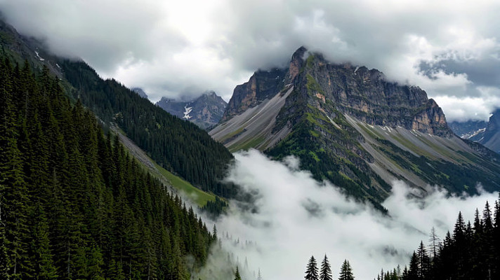 云雾缭绕的山脉与森林景观 云雾缭绕的山脉与森林景观