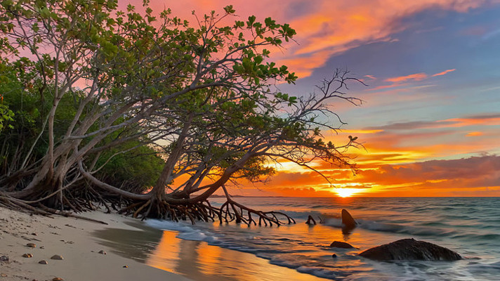 ����������Ȼ����ز�