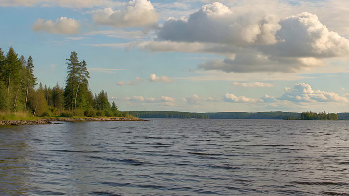 湖畔森林自然风光 湖畔森林自然风光