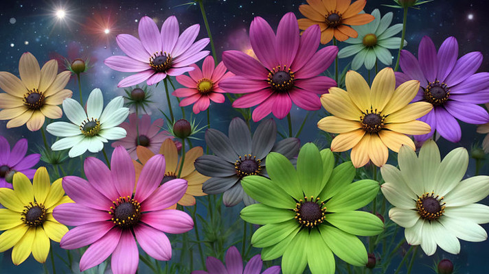 梦幻星空下多彩花朵素材