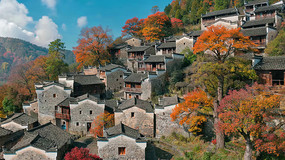 ջɹŴȫ