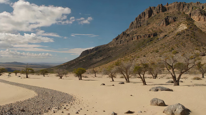 沙漠岩石与稀疏树木景观 沙漠岩石与稀疏树木景观