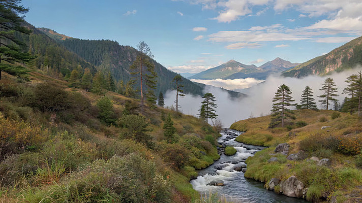 山间溪流森林自然风光 山间溪流森林自然风光