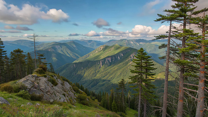 ɽ����Ȼ���ȫ��