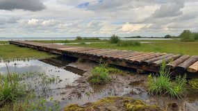 ʪľջȻ
