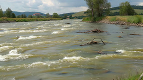 ļȻ