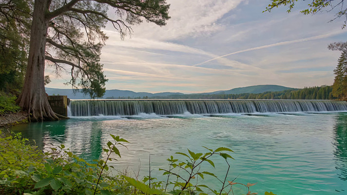 ��Ȼ�����ٲ���ɭ�־���