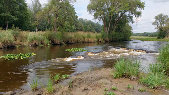 自然河流森林景观 自然河流森林景观