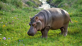 ݵϵĺ