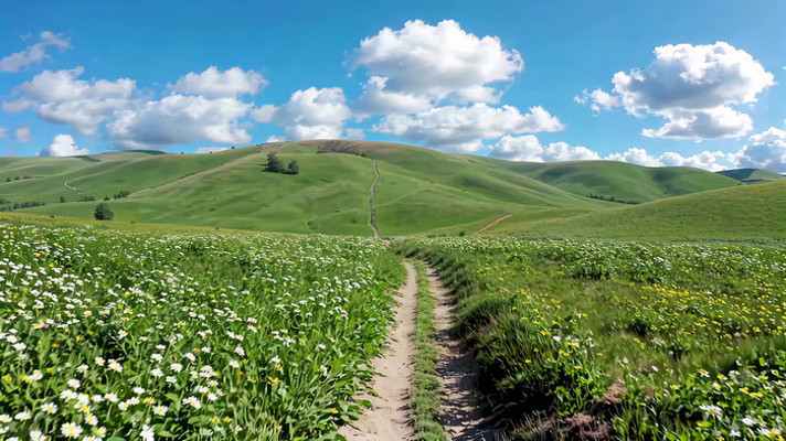草原花海中的乡间小路 草原花海中的乡间小路