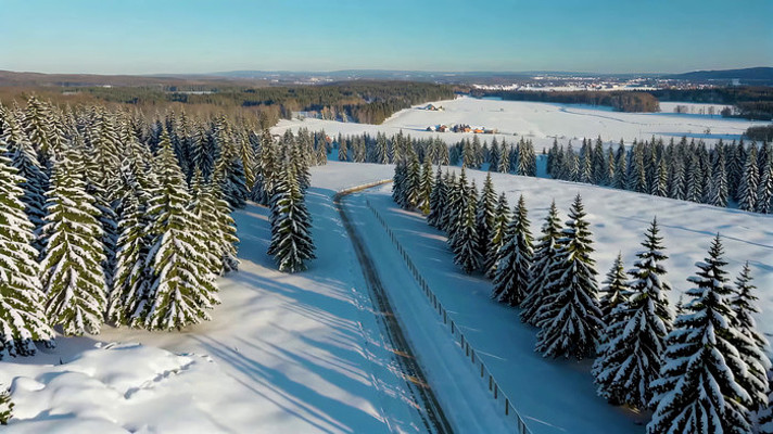 冬日雪景森林航拍 冬日雪景森林航拍