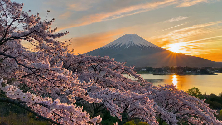 富士山旁樱花盛开的美景 富士山旁樱花盛开的美景