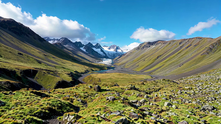 高山草甸雪山自然风光 高山草甸雪山自然风光