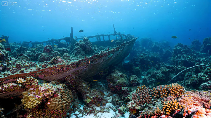 海底沉船与珊瑚礁景观 海底沉船与珊瑚礁景观