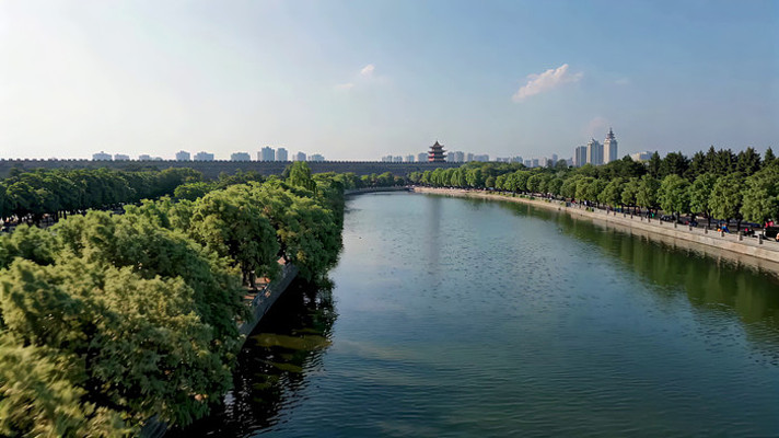 河畔绿树城市远景风光