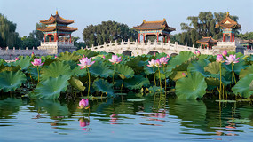 Ž羰