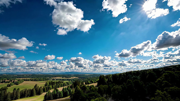 ��������µ�ɭ����Ұ���