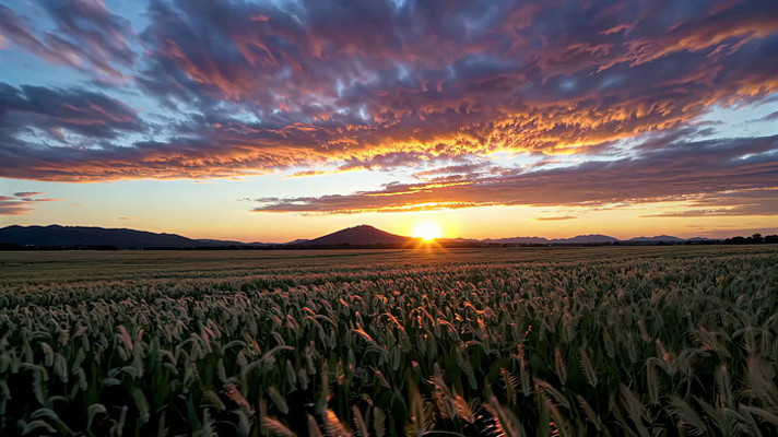 ����������Ȼ���